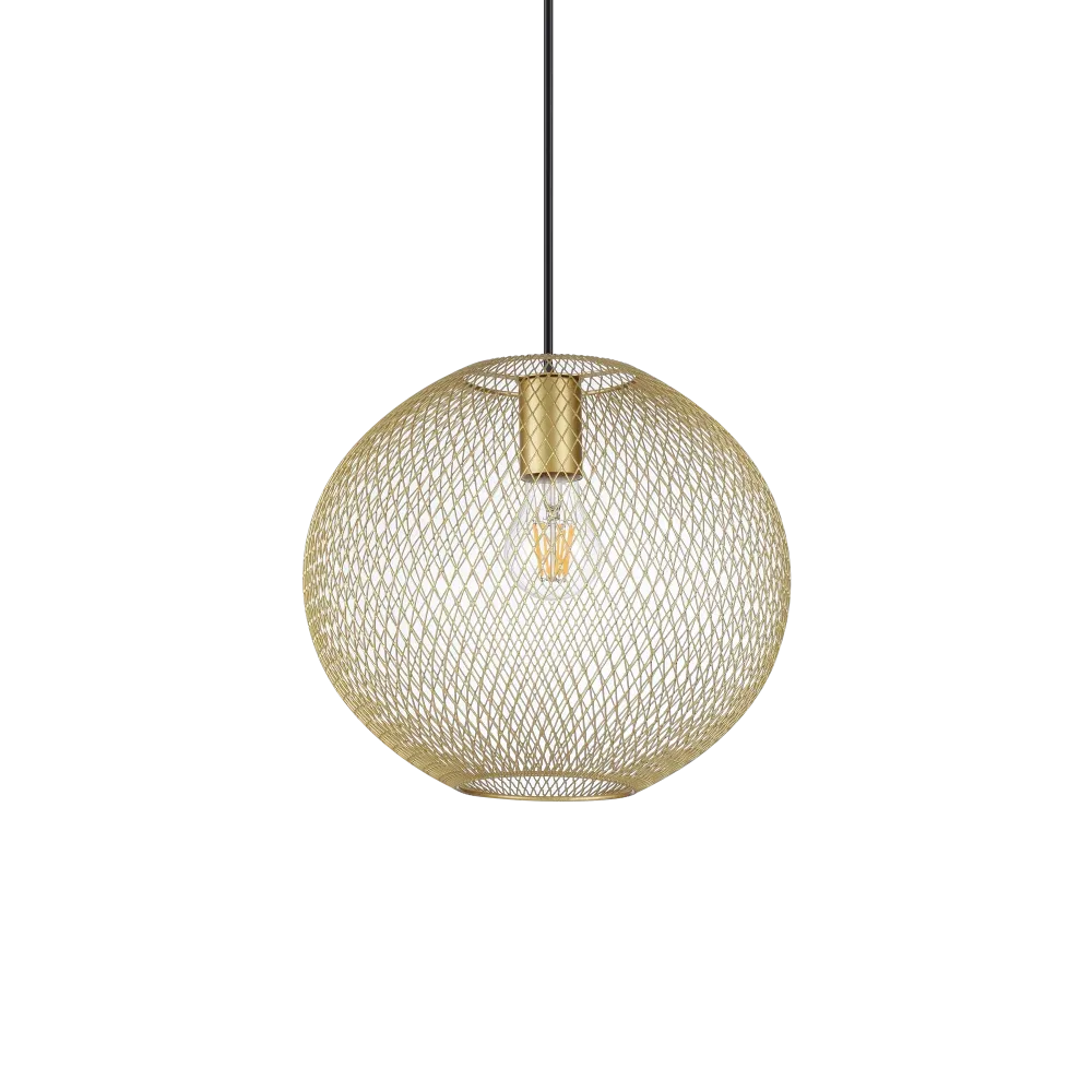 NET SP1 D29 ORO