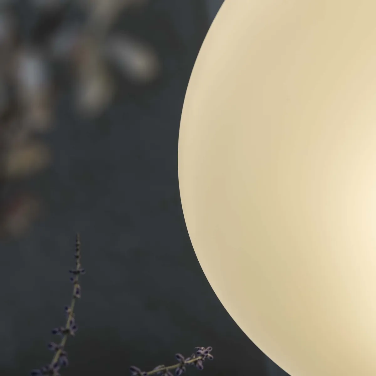 SMARTIES BIANCO SP5 D60 BIANCO