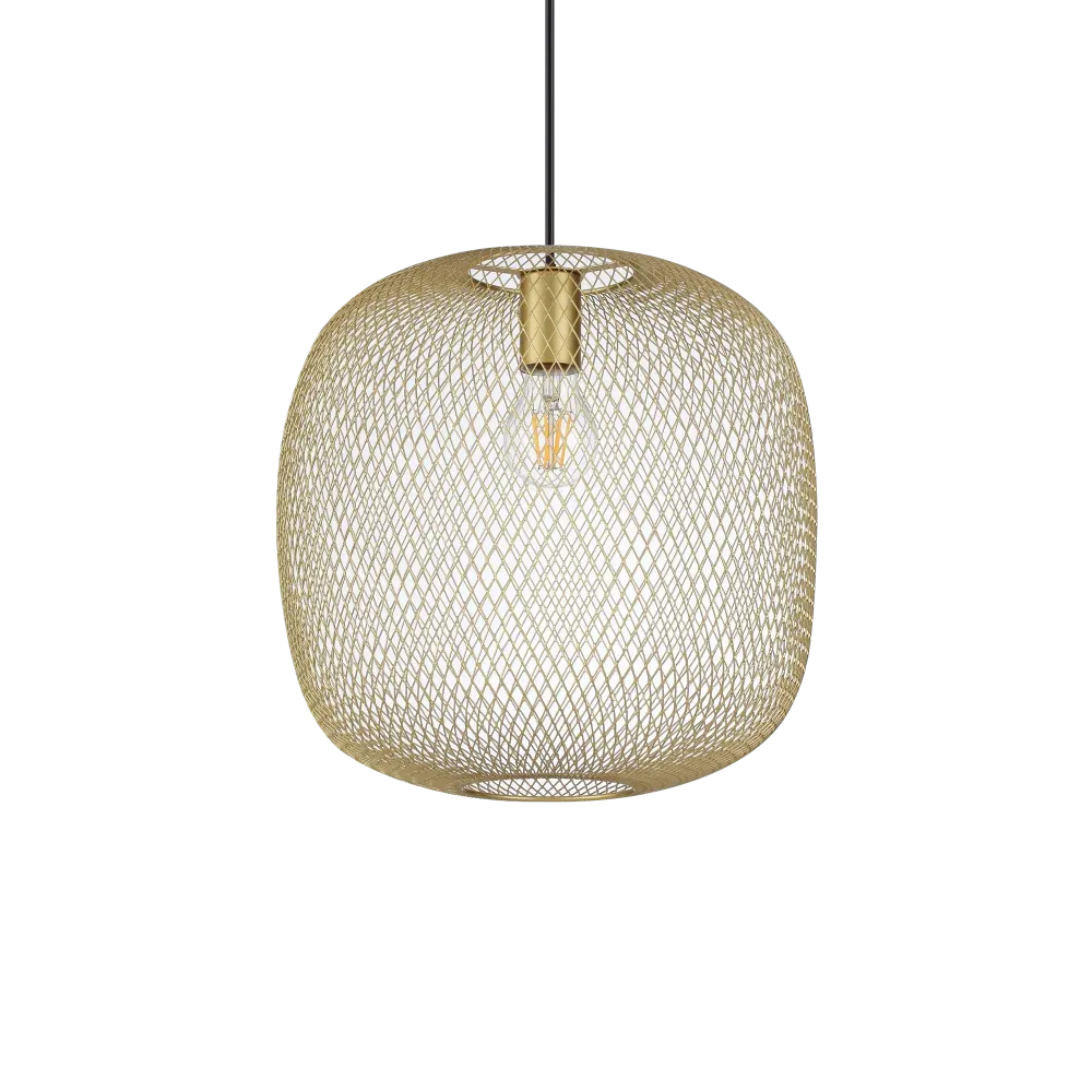 NET SP1 D34 ORO