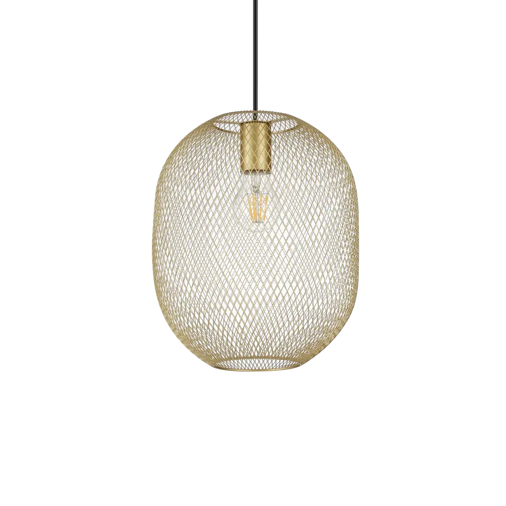 NET SP1 D24 ORO